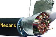 (gu)(bio)mhyv10*2*0.5VͨӍ|