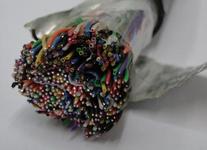 zbͨ|HYA53-30*2*0.5mm2 