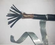 (bio)KVV32-2X4 䓽zzb|