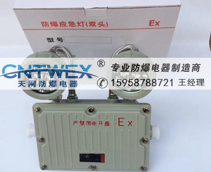 BAG52防爆應(yīng)急燈消防LED防爆型應(yīng)急燈停電照明