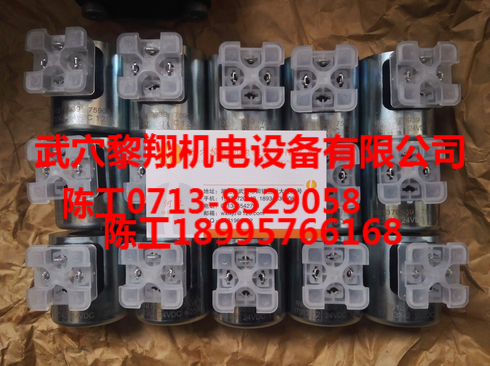 R900021389力士樂線圈大量現(xiàn)貨