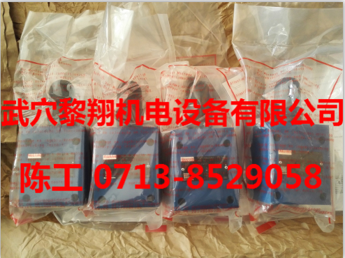 德國(guó)現(xiàn)貨力士樂(lè)DBDS10P10/100
