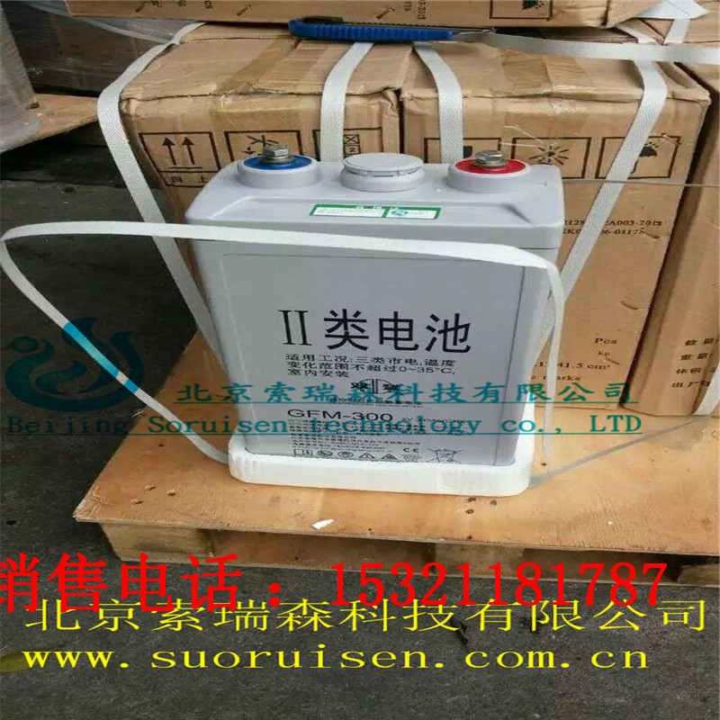 ALCADk늳12V250AH̖