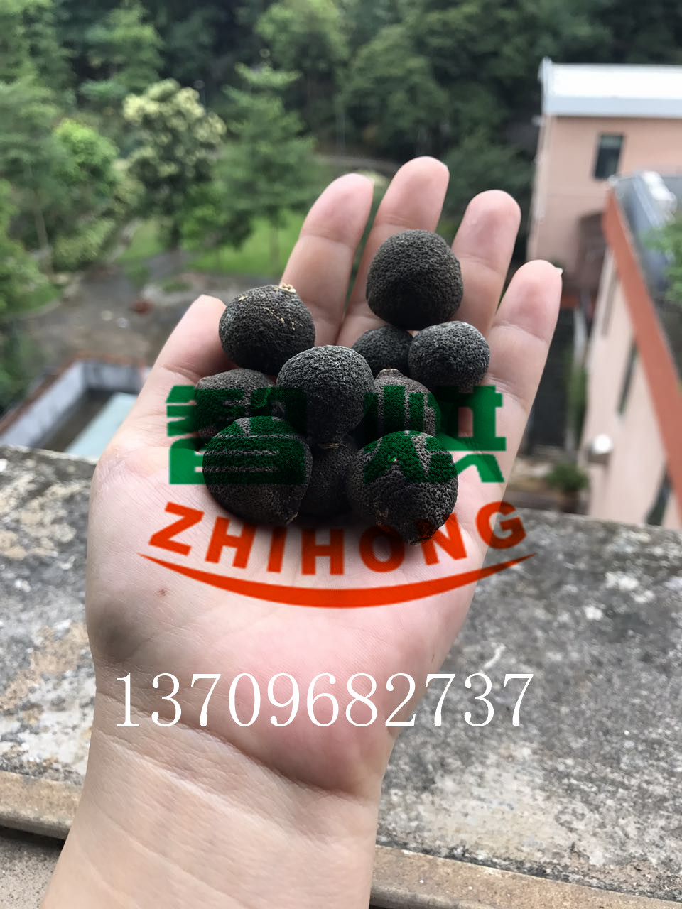 智烘空氣源小青柑烘干機(jī)/烘干設(shè)備智能控制  控溫控濕同步 高效節(jié)能環(huán)?？焖俸娓? title=