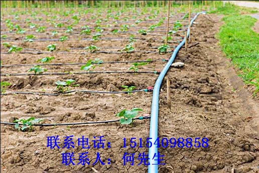 撫州Φ25網(wǎng)式/碟片過濾器%質(zhì)量好，價(jià)格便宜？