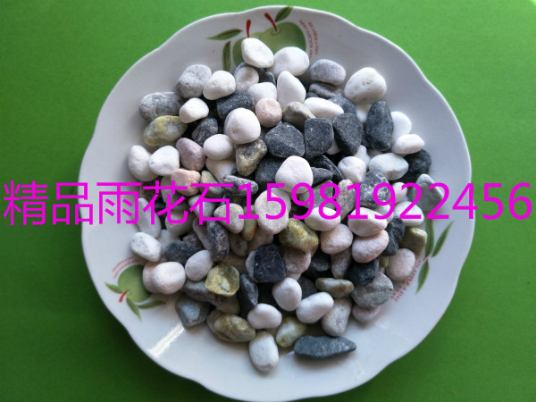 臨沂普通鵝卵石水磨石今日市場(chǎng)行情