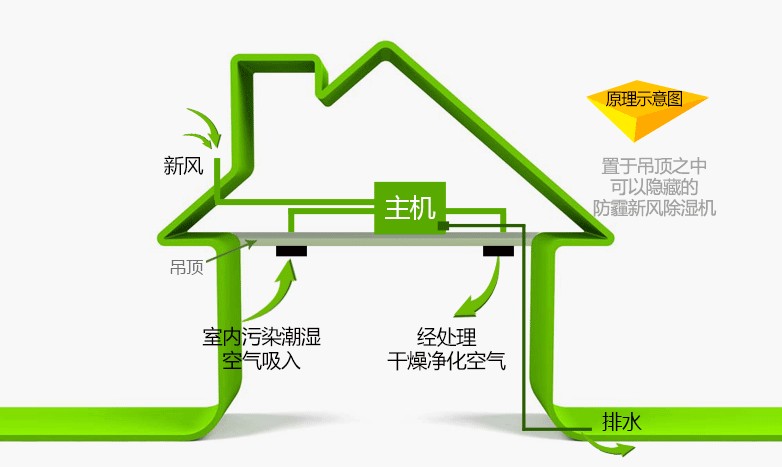 陽(yáng)江新風(fēng)除濕凈化一體機(jī)生產(chǎn)商