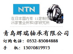 NTN 51101軸承