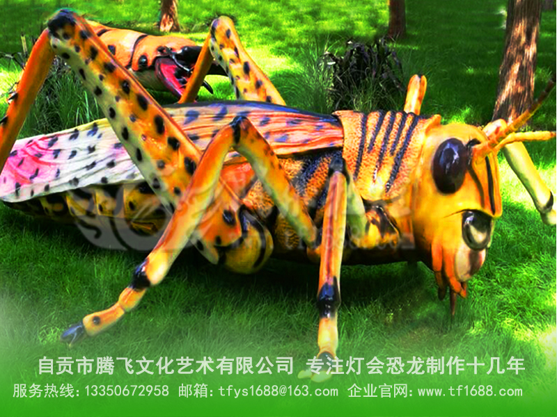 x (dng)