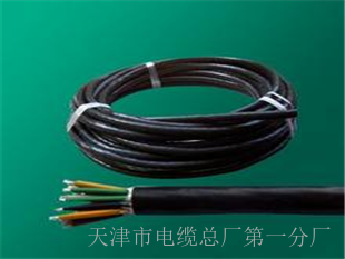 高質(zhì)量的RVVZ- 1×50電纜資訊