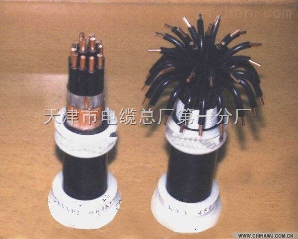 質(zhì)量好的RVVZ- 1×50電纜價格