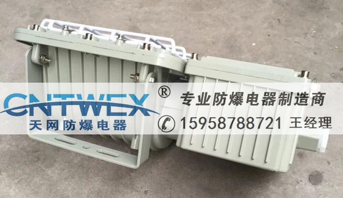 BAT52-M系列防爆泛光燈(免維護(hù)節(jié)能無極燈)(IIB、IIC、DIP)