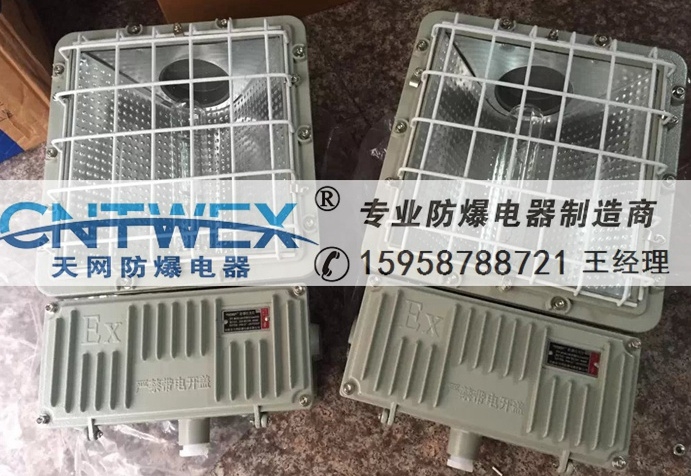 BAT53-100W/150W防爆泛光燈免維護(hù)高效節(jié)能防爆燈廠家直銷