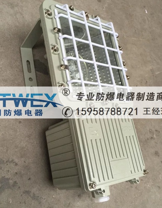 深圳BTC6160防爆泛光燈BAT53大功率防爆投光燈gcd5013 250w
