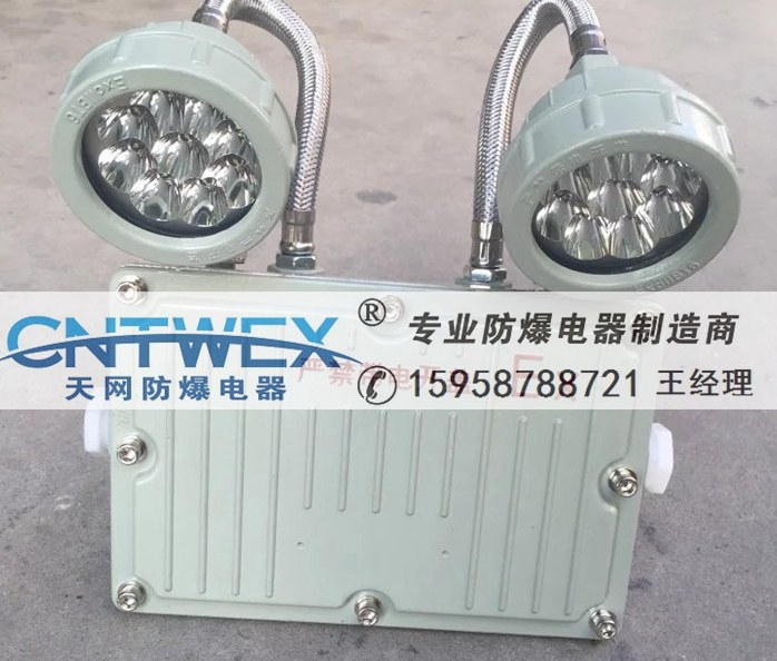 【供應(yīng)BAJ52新防爆應(yīng)急燈】?jī)r(jià)格,廠(chǎng)家,防爆器材