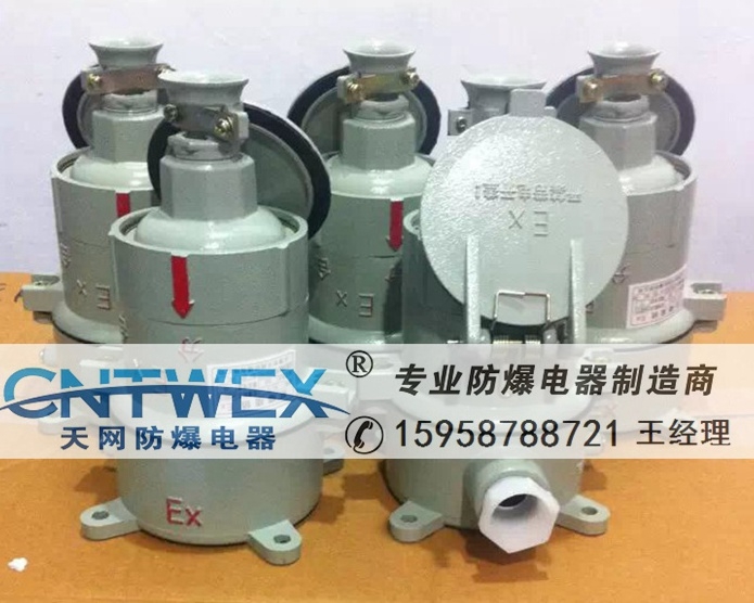 防爆插座插頭AC-15防爆插銷直插式16/32A鋁合金防爆插座