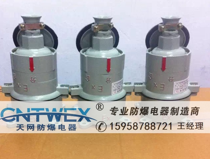 防爆插銷插座AC-63Z 直插式220V/380V 合金鋁壓鑄