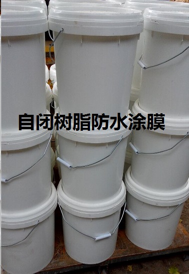 西藏自治林芝朗縣自閉樹脂防水涂膜銷售公司 建筑4.0工業(yè)化