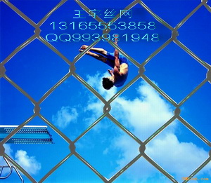 ιW(wng)ξW(wng)FzW(wng)ξW(wng)䓽zW(wng)ƽξW(wng)S