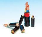 ZR-BPYJVP1-2(lin)ȼ| ZR-BPYJVP1-2|r