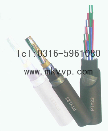F·̖(ho)|-PZYA23|r(ji)(D) F·̖(ho)|-PZYA2