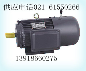 YEJ225M-4制動電機(jī)/YEJ225M-4制動電機(jī)、配件（圖）