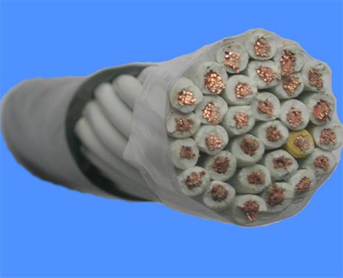 阻燃鎧裝計算機電纜ZRDJYV22