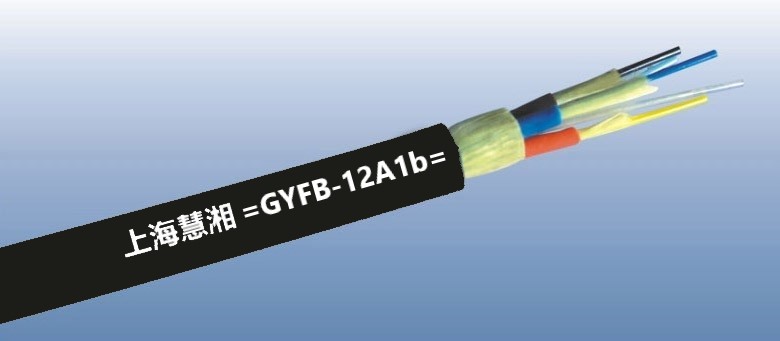 GYFB-12A1b   12оģҰ(zhn)ҷ|