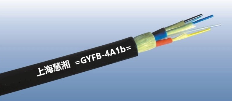 GYFB-4A1b    4оģҰ(zhn)ҷ|