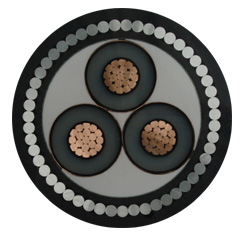 Vý(lin)| ߉(lin)| MYJV MYJV22 YJV YJV22