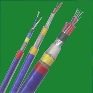 ia-DJYPYP ia-DJYPY | ӋC|