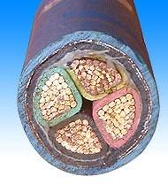 VV22 0.6/1kV VV22ͨzb|