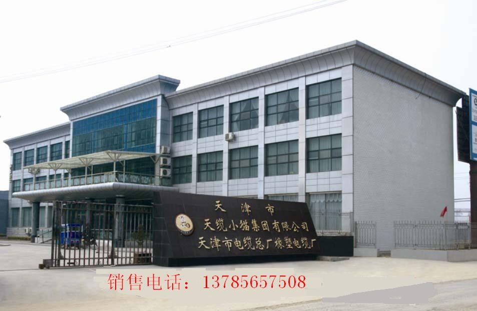 DJFFP電纜 高溫線