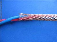 屏蔽計算機電纜 DJFPF22鎧裝電纜