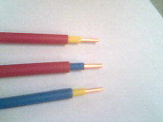  電線 BVV-10 mm2 小貓牌電纜