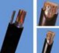 聚乙烯絕緣聚氯乙烯護(hù)套電力電纜35KV以下YJV電纜