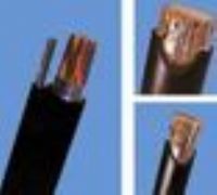 WDZ-HYA100*2*0.5低煙無鹵通信電纜(圖)