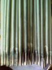 AA112P䓺lr(ji)/P䓺l̖/P䓺lS/P䓺l|(zh);