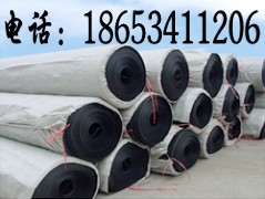 排水網(wǎng)、三維排水網(wǎng)、塑料排水網(wǎng)廠家