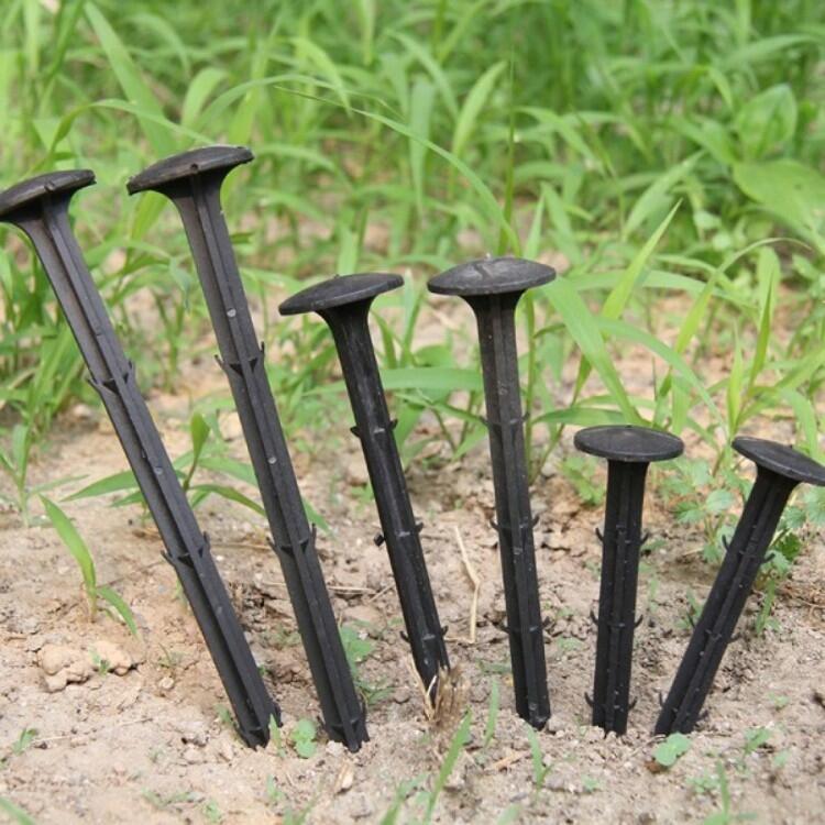 ݲݲ@ˇز