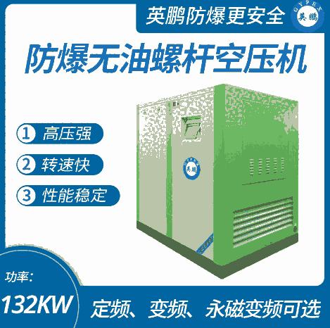 天津防爆無油空氣壓縮機