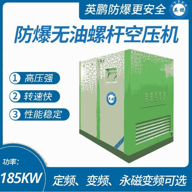 上海大功率防爆無油空壓機(jī)