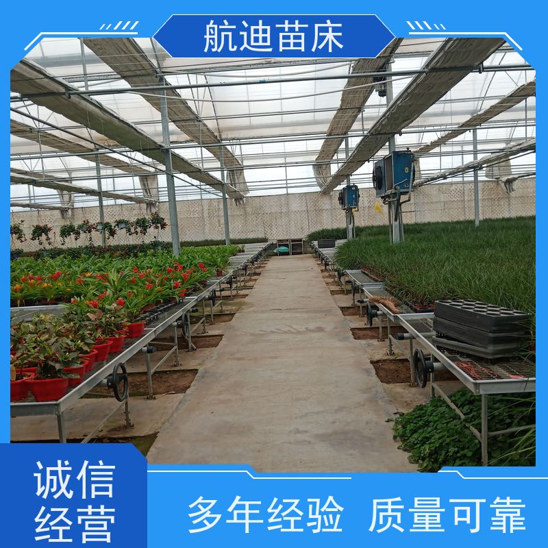 高標(biāo)準移動育苗床
