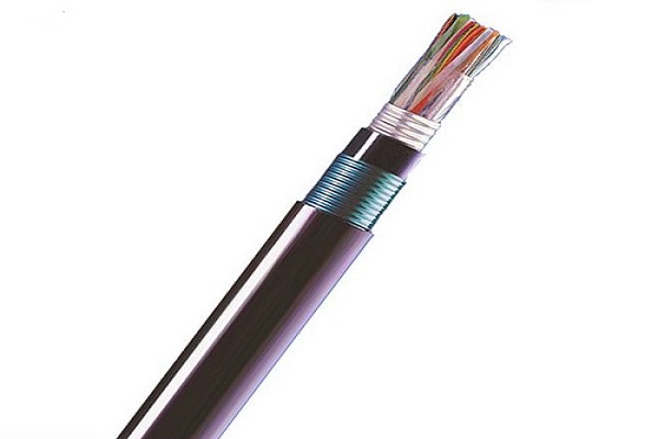 F·̖(ho)|PTYAH23 44X1.5mm2