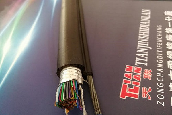 zbF·|19*1.0mmWDZC-PTYL23