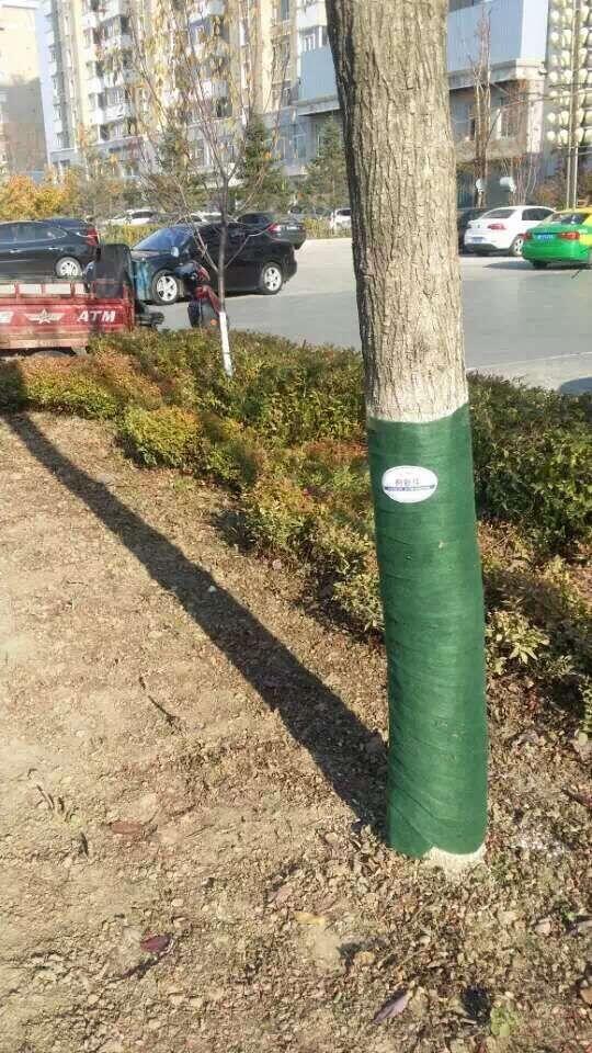 張家口樹木保溫防寒保溫保濕帶