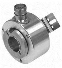RO3100׸T/IFM