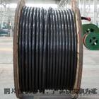 汕頭 NH-DJYVP耐火計(jì)算機(jī)電纜 專業(yè)廠家