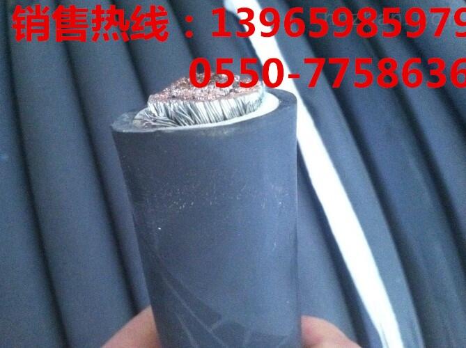 海南省FDEH-25-1*300型號(hào)規(guī)格
