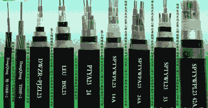 h(hun)WDZ-DCYJ-III-125F·C܇|/x|늚